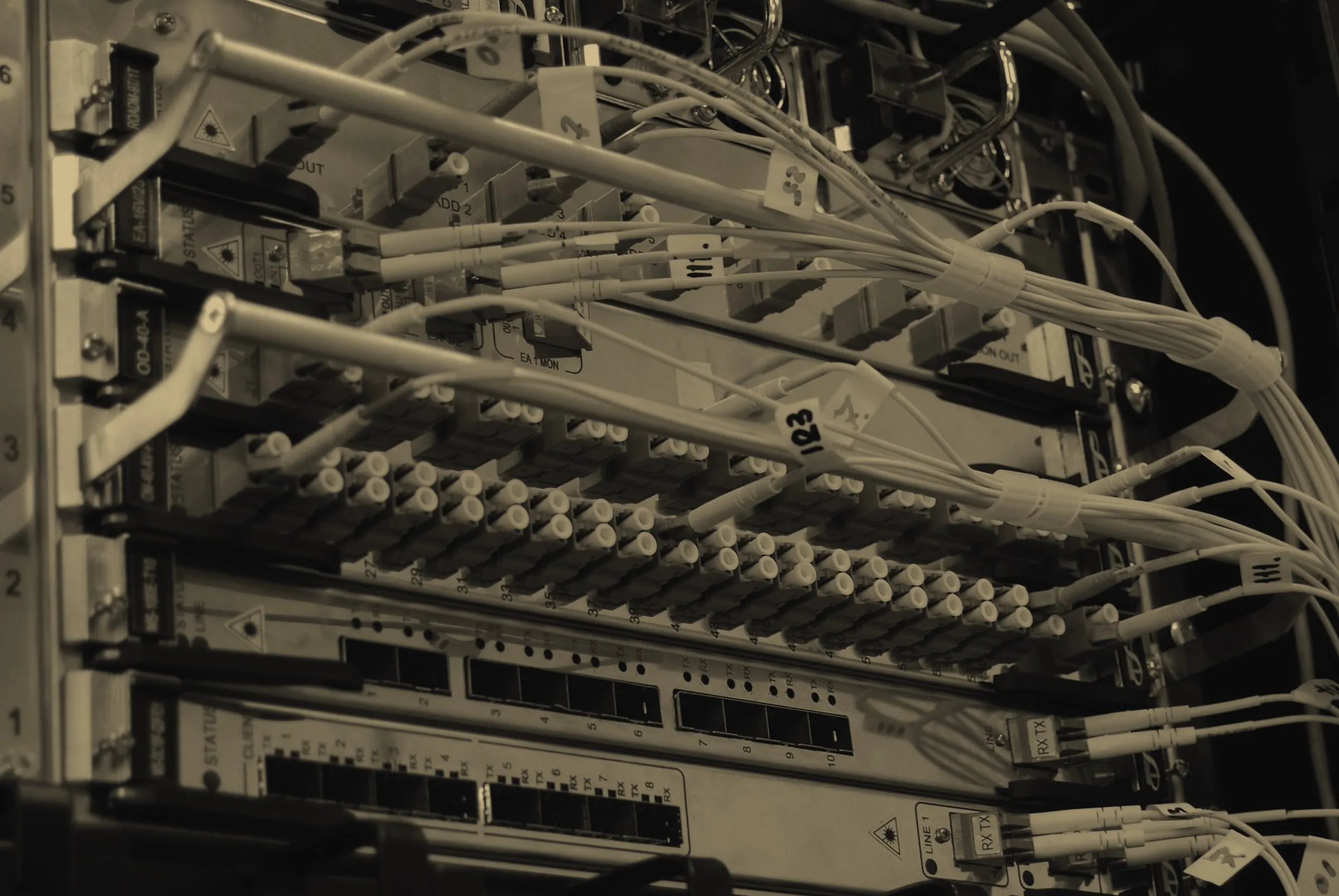 Fibre-optic patch cables connected into a network switch.